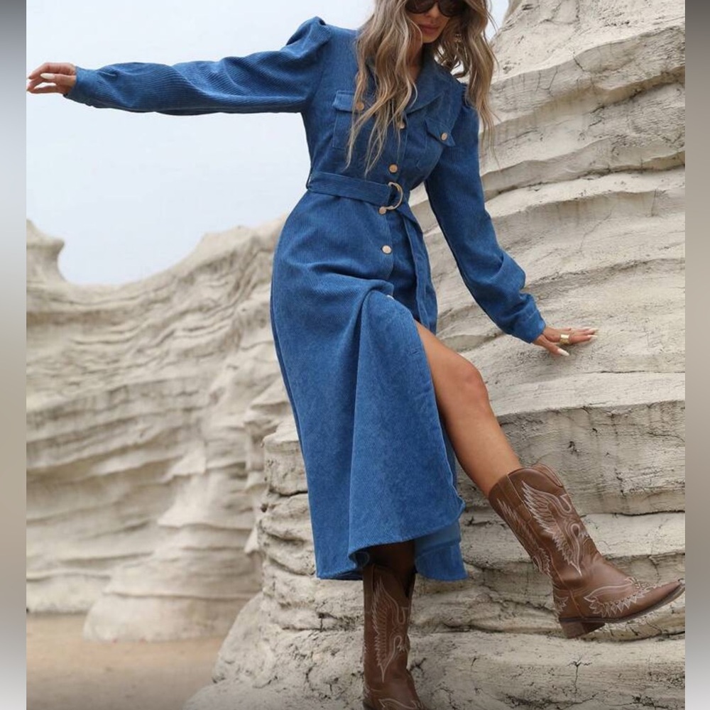 Elegant Blue Belted Button Down Corduroy Dress - Picture 3 of 8